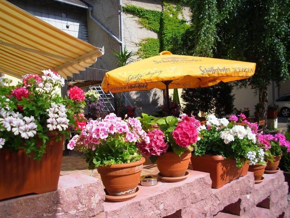 Gasthaus Forelle Тале Экстерьер фото